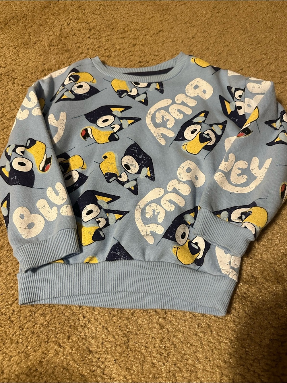 Bluey Kids Pullover Sweatshirt with Cartoon Print